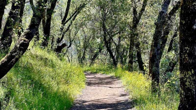 Gerle Loop Trail - Lotus, CA