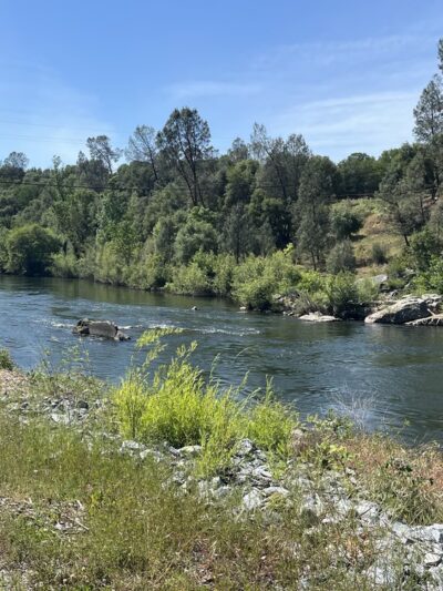 Lotus River Parking - Lotus, CA