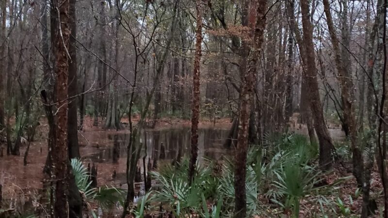 Ogeechee Crossing Park - Louisville, GA