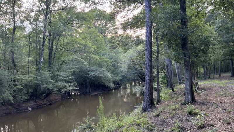 Ogeechee Crossing Park - Louisville, GA