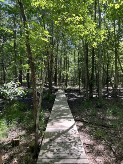 Ogeechee Crossing Park - Louisville, GA