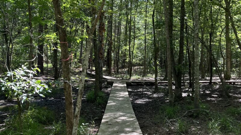 Ogeechee Crossing Park - Louisville, GA