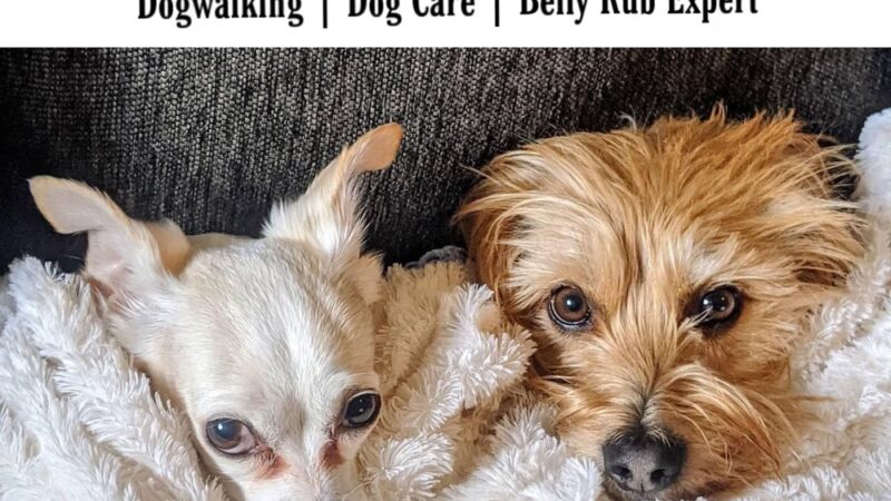 Love & Paws Pet Care - ,