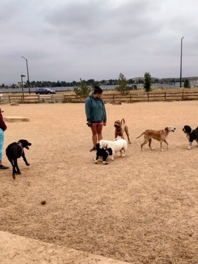 Mehaffey Park -Dog Park Area - Loveland, CO