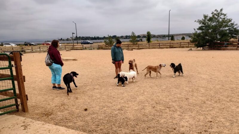 Mehaffey Park -Dog Park Area - Loveland, CO