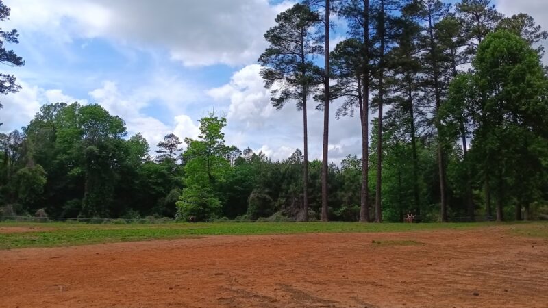Dog Park - Lowell, NC