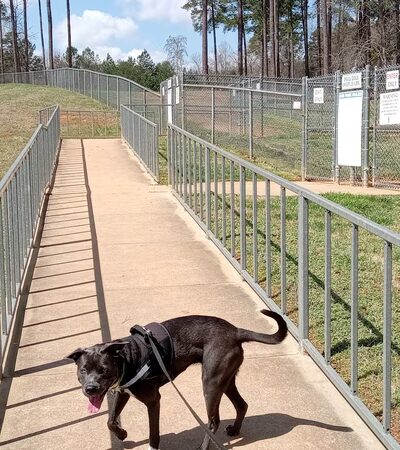 Dog Park - Lowell, NC