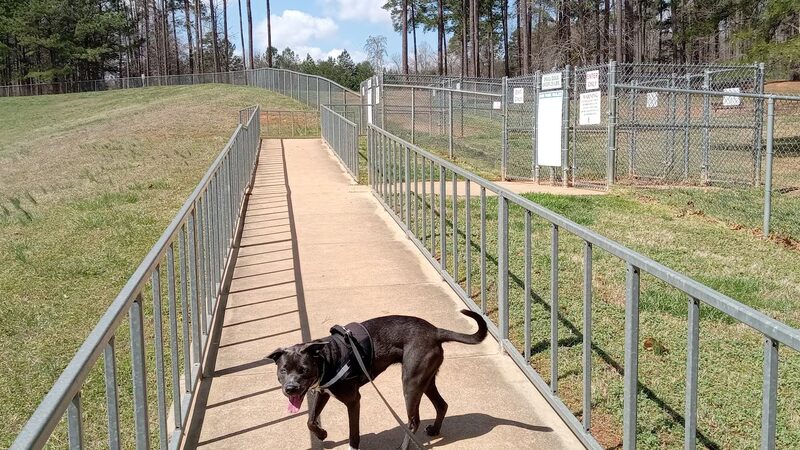 Dog Park - Lowell, NC