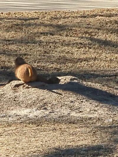 Hodges Park - Lubbock, TX