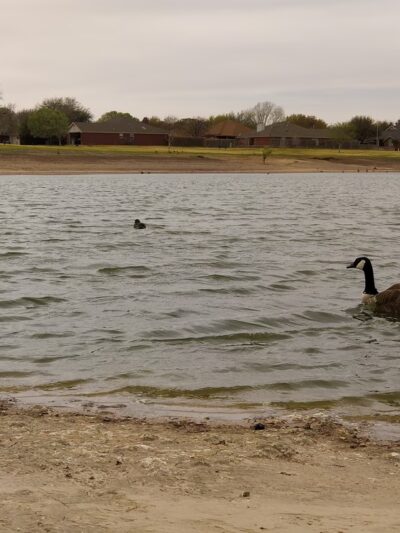 Remington Park - Lubbock, TX