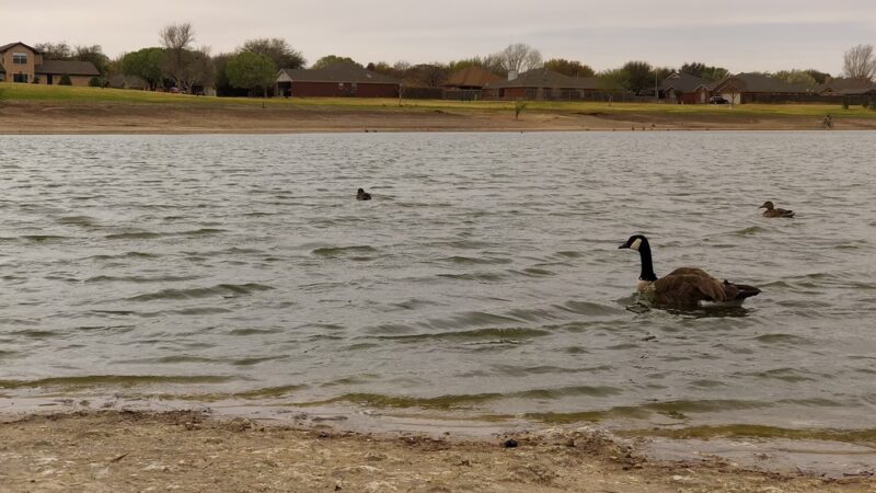 Remington Park - Lubbock, TX