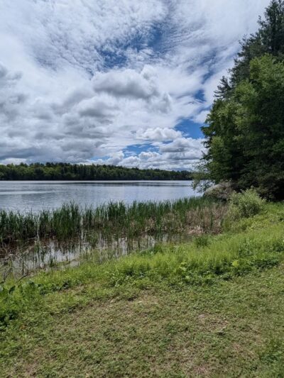 Ludlow Reservoir Shoreline Trail - Ludlow, MA