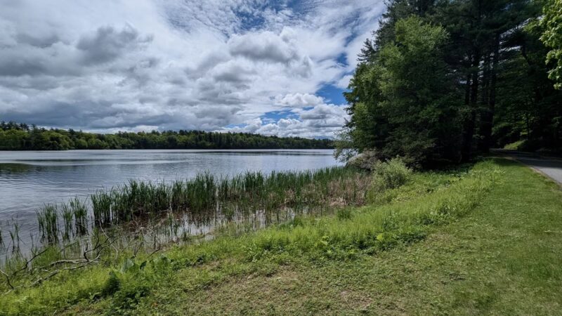 Ludlow Reservoir Shoreline Trail - Ludlow, MA