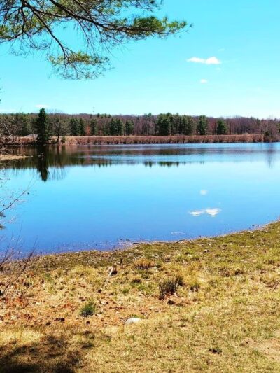 Ludlow Reservoir Shoreline Trail - Ludlow, MA