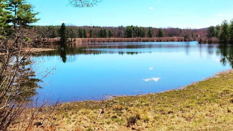 Ludlow Reservoir Shoreline Trail - Ludlow, MA