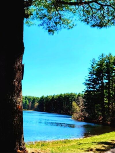 Ludlow Reservoir Shoreline Trail - Ludlow, MA