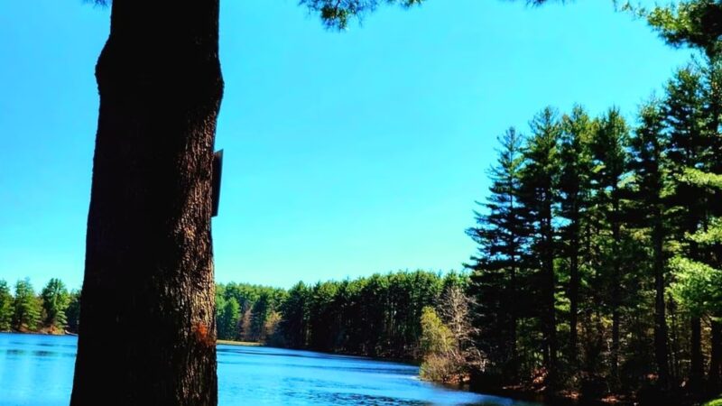 Ludlow Reservoir Shoreline Trail - Ludlow, MA