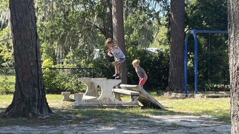 Friendship Park - Ludowici, GA