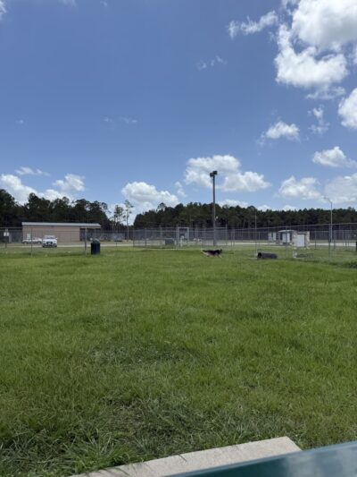 Lumberton Dog Park - Lumberton, TX