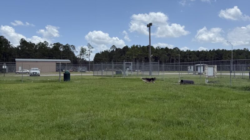 Lumberton Dog Park - Lumberton, TX