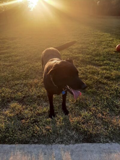 Village Green Park - Lumberton Township, NJ