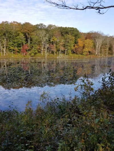 Hartman Park - Lyme, CT