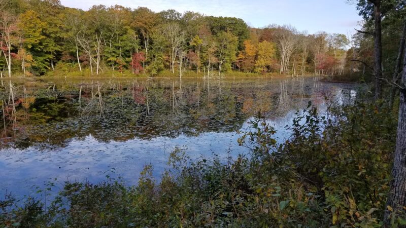 Hartman Park - Lyme, CT