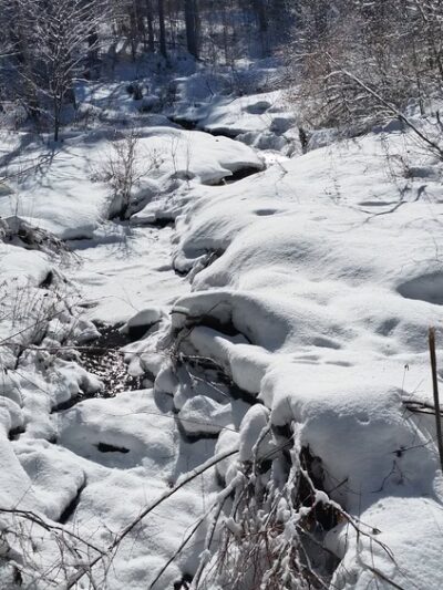 Lyme Hill Conservation Area - Lyme, NH