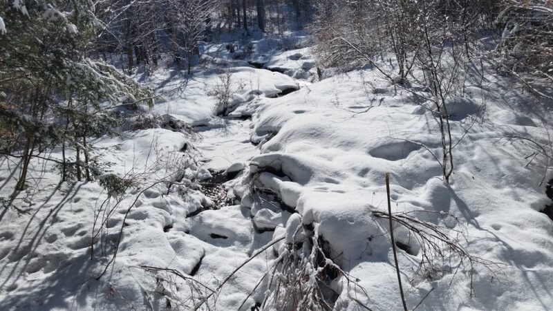 Lyme Hill Conservation Area - Lyme, NH