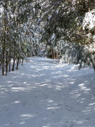 Lyme Hill Conservation Area - Lyme, NH