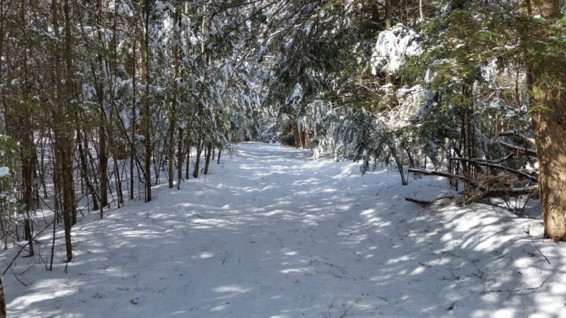 Lyme Hill Conservation Area - Lyme, NH