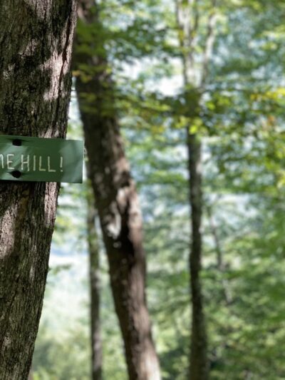 Lyme Hill Conservation Area - Lyme, NH