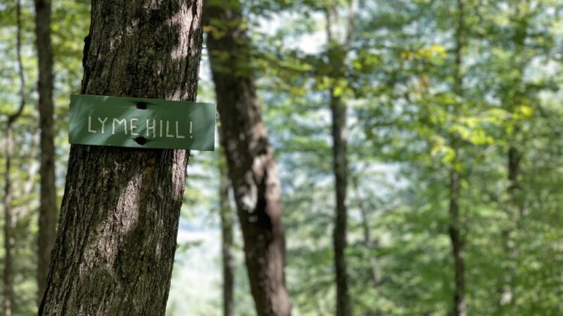 Lyme Hill Conservation Area - Lyme, NH