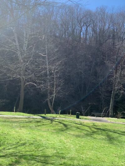 Blackwater Creek Natural Area - Lynchburg, VA