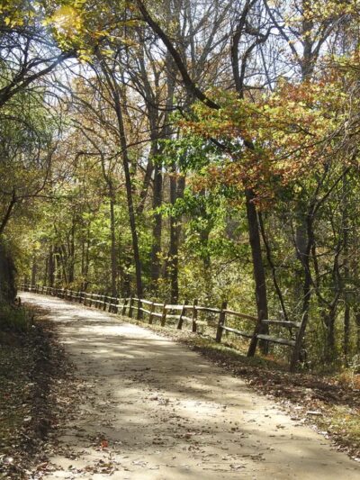 Blackwater Creek Natural Area - Lynchburg, VA
