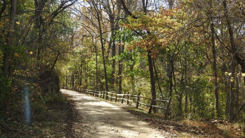 Blackwater Creek Natural Area - Lynchburg, VA