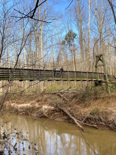 Blackwater Creek Natural Area - Lynchburg, VA