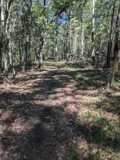 Lynnfield Woodlot - Lynnfield, MA