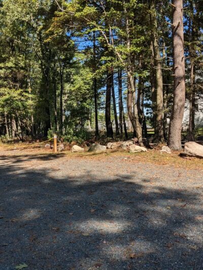 Lynnfield Woodlot - Lynnfield, MA