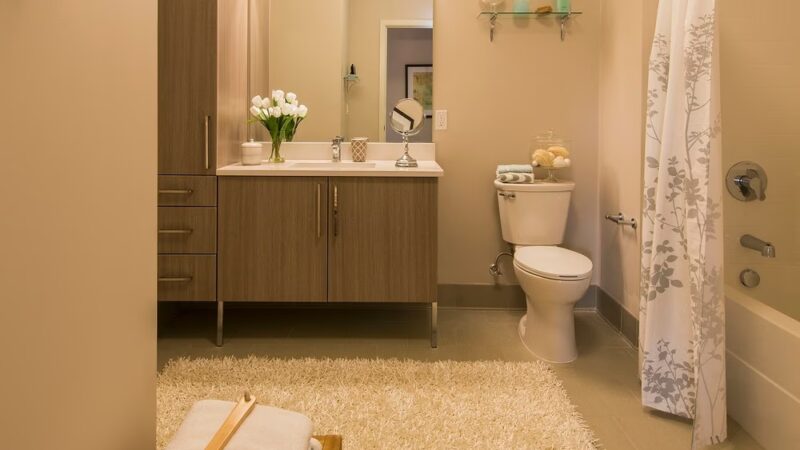 MarketStreet - Lynnfield, MA