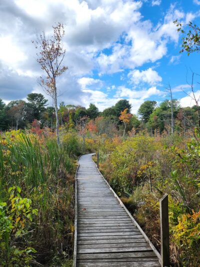 Partridge Island Trail - Lynnfield, MA