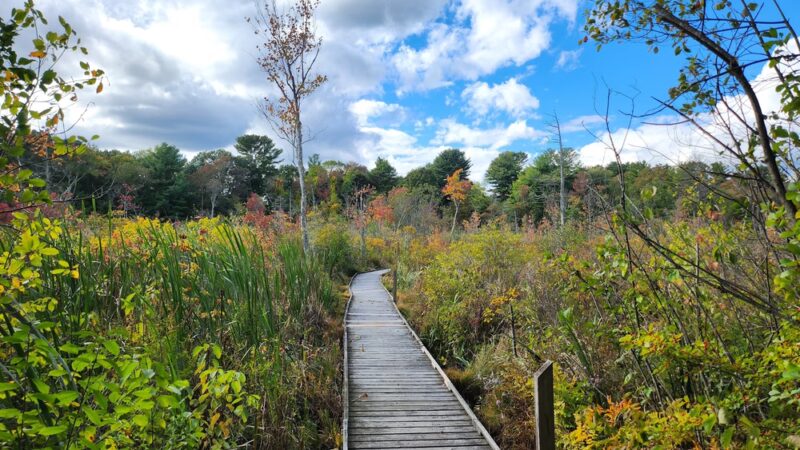 Partridge Island Trail - Lynnfield, MA