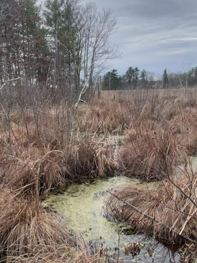 Partridge Island Trail - Lynnfield, MA