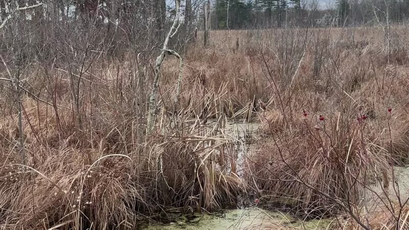 Partridge Island Trail - Lynnfield, MA