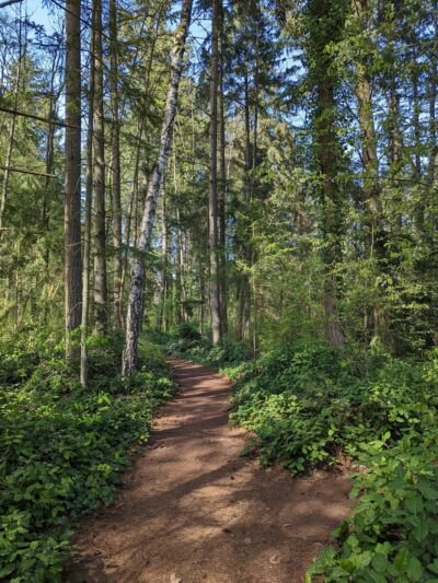 Lake Stickney Park - Lynnwood, WA