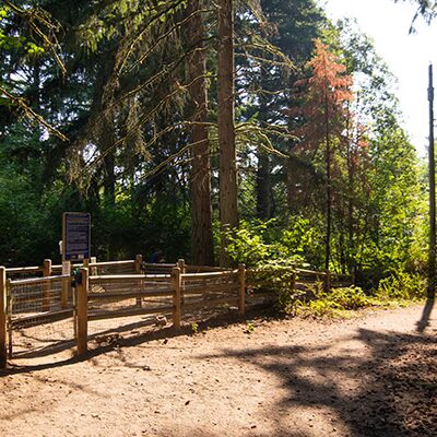 Lake Stickney Park - Lynnwood, WA