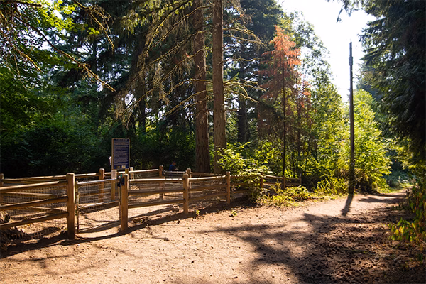 Lake Stickney Park - Lynnwood, WA