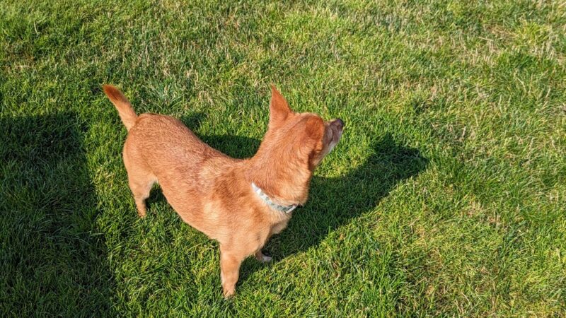 Lake Stickney Parkway Community Park - Lynnwood, WA