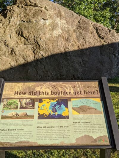 Martha Lake Airport Park Off-Leash Dog Park - Lynnwood, WA