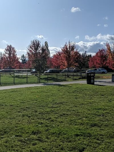 Martha Lake Airport Park Off-Leash Dog Park - Lynnwood, WA